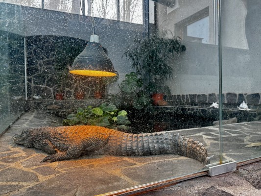 Stavební práce v Ekocentru Ostrov pokračují. Starý pavilon nahradí špičková odborná učebna