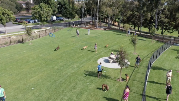 Dog park