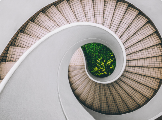 Organický rozvoj města