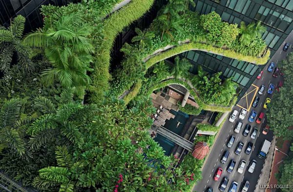 Podpora biodiverzity v Ostrově a okolí